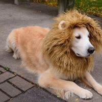 10 delle domande più assurde fatte su Yahoo! Answers