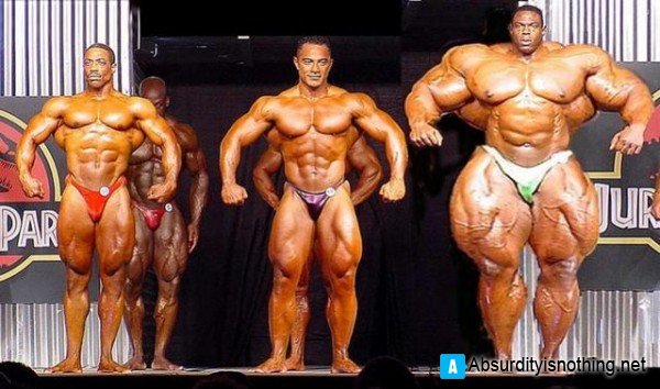 Muscoli