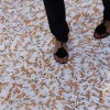 219.000 sigarette per smettere di fumare a Sydney