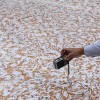 219.000 sigarette per smettere di fumare a Sydney