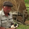 Gatto partorisce cane