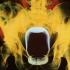 Un bel barattolo di miele nel sedere, massì