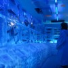 Froozen Aquarium