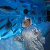 Froozen Aquarium