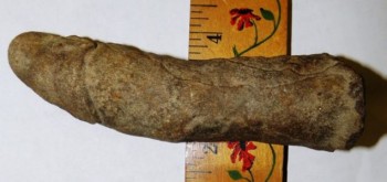 Penis shape rock