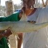Incredibile squalo ciclope albino trovato in Messico