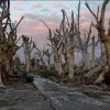 Epecuen – il paese rimasto sommerso per 25 anni